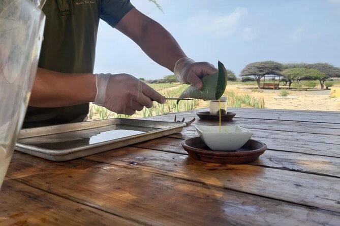 Half day Tour - Key points to know before booking