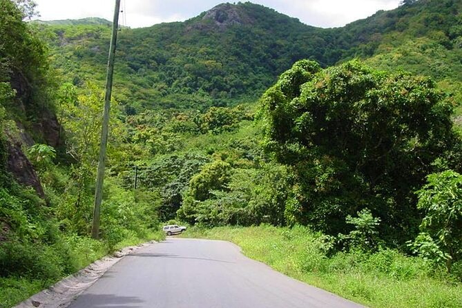 Half-Day Tour: A Taste of Paradise and History of Antigua - What the drive adds to the experience