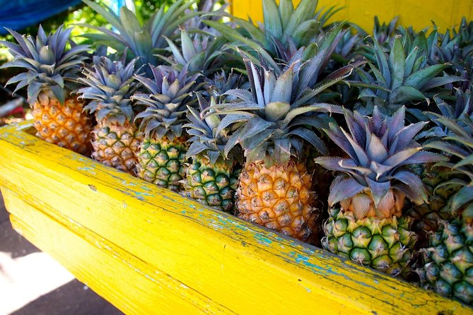 Half-Day Tour: A Taste of Paradise and History of Antigua - Pickup, timing, and the details worth confirming