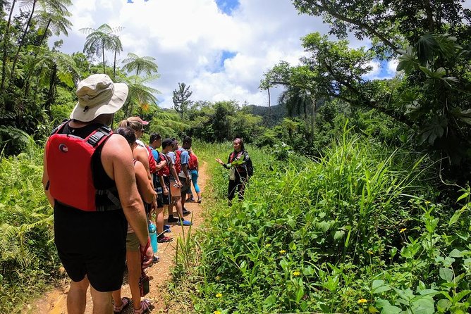 Half-Day Tour: El Yunque Rainforest and Waterslide Adventure - Key points to know before booking