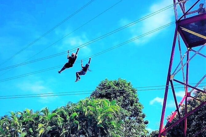 Half Day Tour in Rainforest Zipline Park with Transportation - The Course Builds From Practice Lines to Rainforest Views