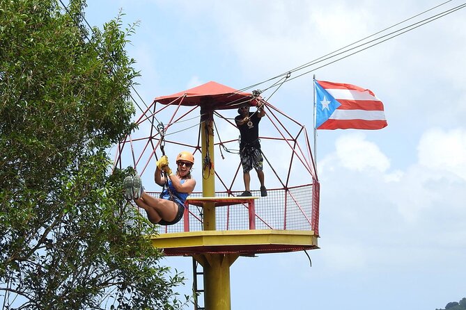 Half Day Tour in Rainforest Zipline Park with Transportation - What the Four to Five Hours Really Includes