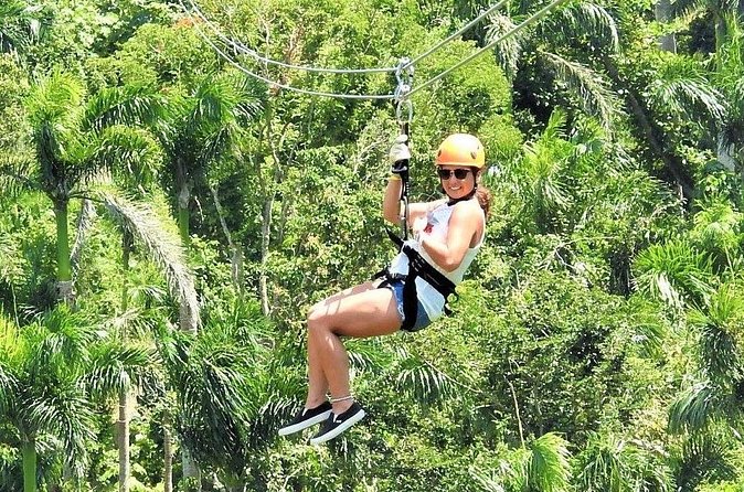 Half Day Tour in Rainforest Zipline Park with Transportation - The View Improves as the Lines Get Longer