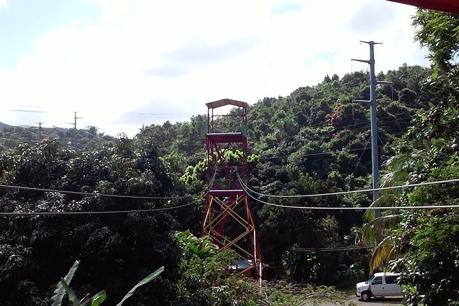 Half Day Tour in Rainforest Zipline Park with Transportation - Is $149 a Fair Price?