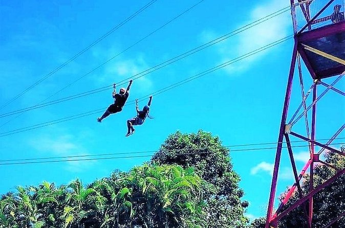 Half Day Tour in Rainforest Zipline Park with Transportation - A Small Group Makes the Experience More Personal