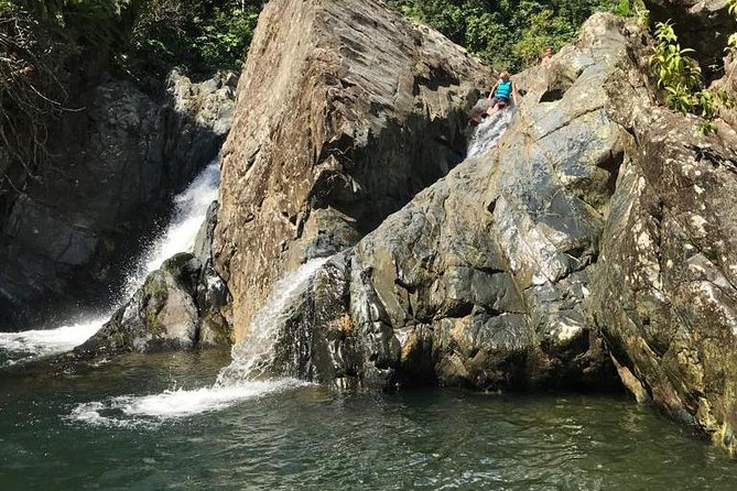 Half-Day Yunque Rainforest Waterslide & rope swing Guided Tour - Meet in Fajardo, then follow the guide into El Yunque