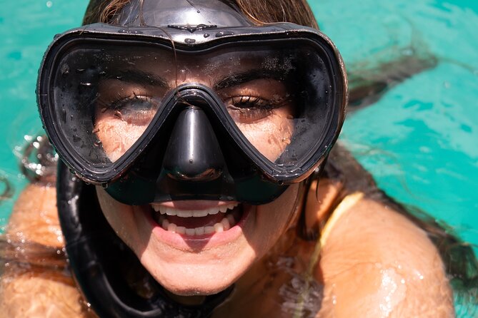 Harbour Lights-Chair &Turtle Shipwreck Snorkel Tour(10:30-1:30pm) - The Koopa Troopa and the 45-minute snorkel