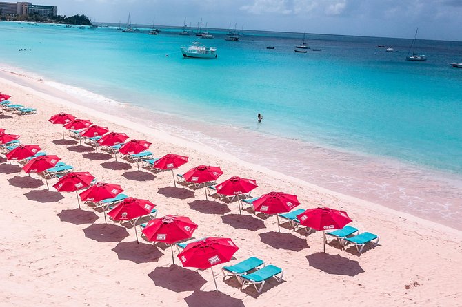 Harbour Lights-Chair &Turtle Shipwreck Snorkel Tour(10:30-1:30pm) - What the beach club adds to the price