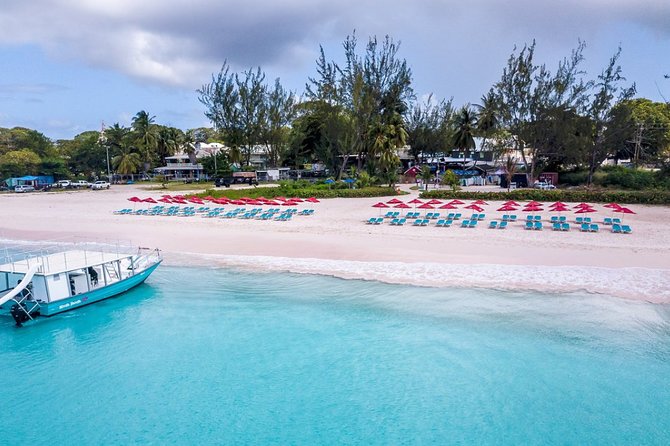 Harbour Lights-Chair &Turtle Shipwreck Snorkel Tour(10:30-1:30pm) - Timing problems to avoid