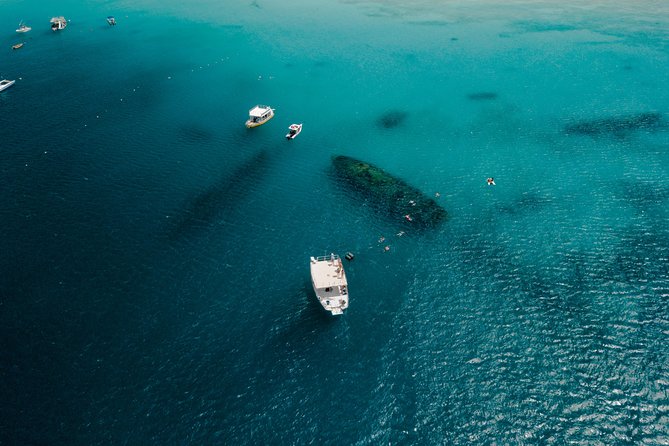 Harbour Lights-Chair &Turtle Shipwreck Snorkel Tour(10:30-1:30pm) - Who will enjoy this most