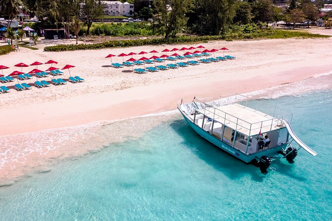 Harbour Lights-Chair &Turtle Shipwreck Snorkel Tour(10:30-1:30pm) - Should you book Harbour Lights?