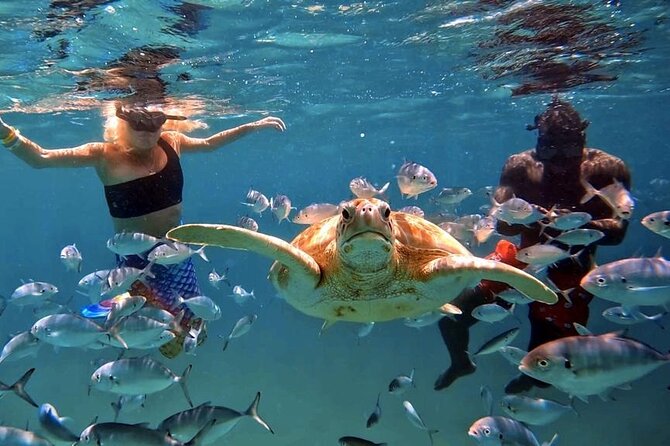 Harbour Lights-Chair &Turtle Shipwreck Snorkel Tour(10:30-1:30pm) - What happens before the boat leaves