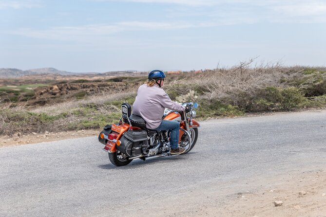 Harley-Davidson RENTALS ONLY 8 hrs - Choosing between the Road King, Heritage, Dyna, and Sporty