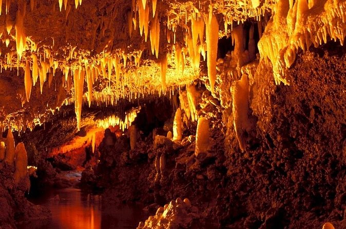 Harrison's Cave Tour in Barbados - Harrison’s Cave Eco-Adventure Park is more than the tram