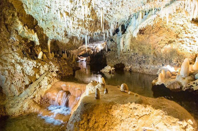 Harrison's Cave Tour in Barbados - Who will enjoy this Barbados cave tour?