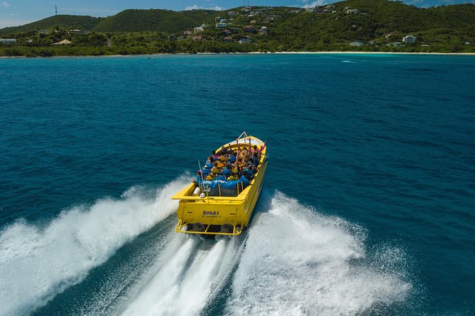 High Speed Harbor Tour from Charlotte Amalie Cruise Port - Morning or afternoon: choosing your departure