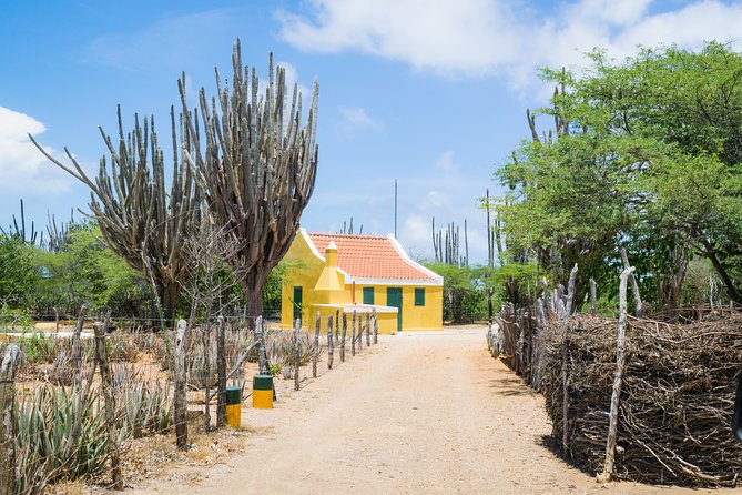 Highlights of Bonaire & Cultural Experience - Key points to know before booking