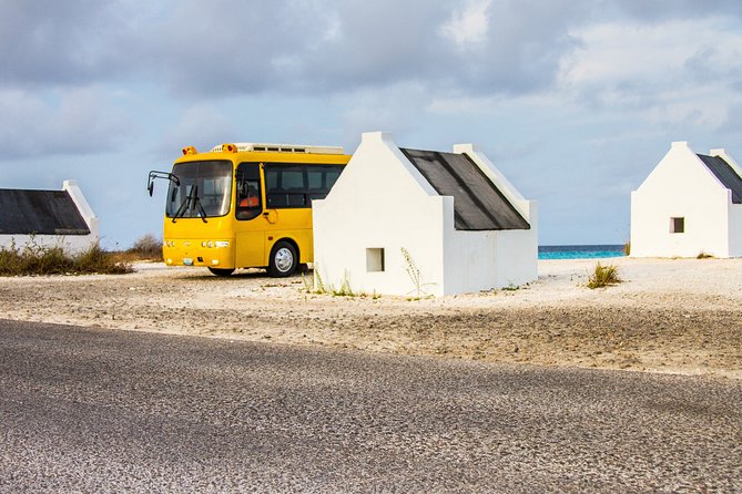Highlights of Bonaire & Cultural Experience - Rincon and the Chi Chi Tan cultural museum