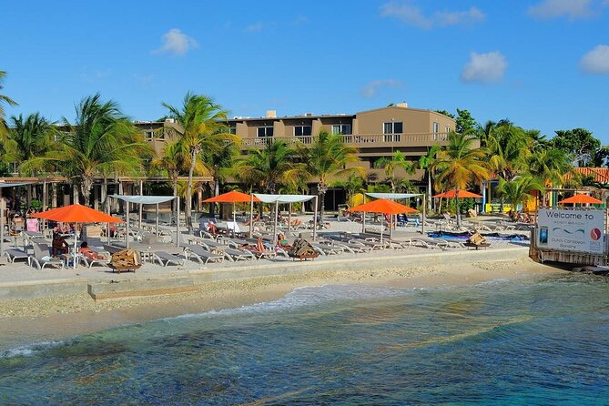 Highlights of Bonaire & Cultural Experience - Guides can shape the entire experience