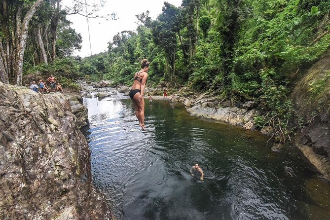Hike El Yunque Rainforest and Kayak Bio Bay Combo Tour - A full day from San Juan to El Yunque and Laguna Grande