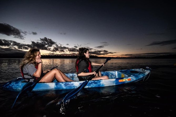 Hike El Yunque Rainforest and Kayak Bio Bay Combo Tour - The bio bay is magical, but keep expectations realistic
