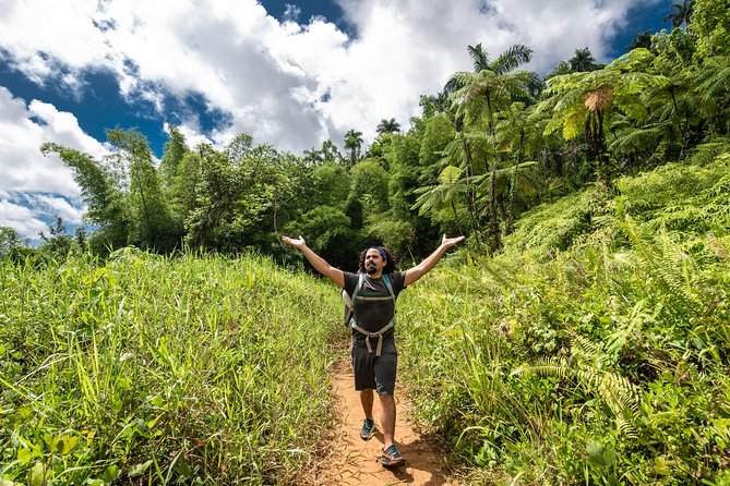 Hike El Yunque Rainforest and Kayak Bio Bay Combo Tour - Clothing, fitness, and safety rules matter