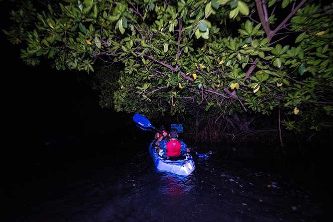 Hike El Yunque Rainforest and Kayak Bio Bay Combo Tour - The El Yunque route starts with rocks, water, and wet shoes