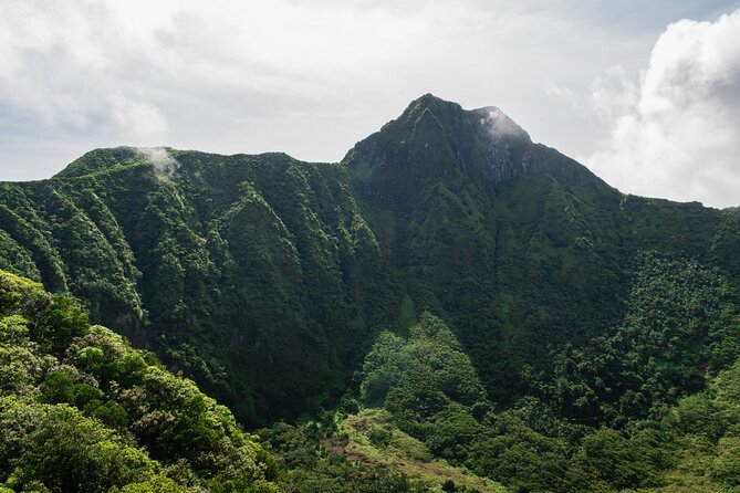 Hike St. Kitts: Highest peak Mount Liamuiga Volcano - Entering the rainforest on the lower slopes