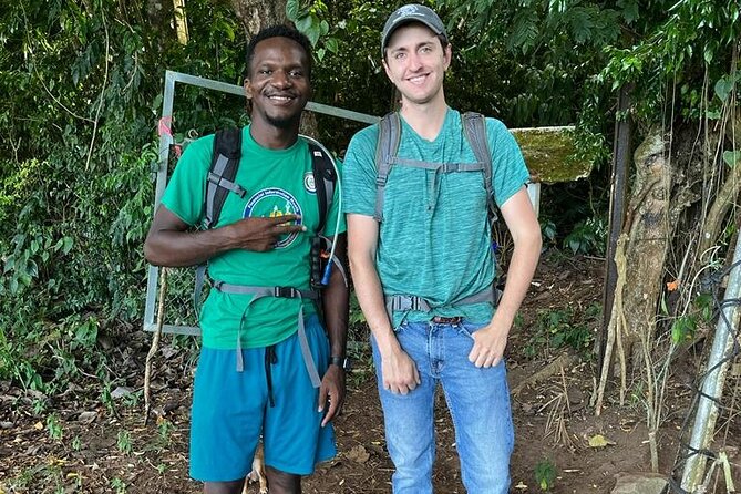 Hike St. Kitts: Highest peak Mount Liamuiga Volcano - Guides who keep the day personal