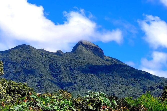 Hike St. Kitts: Highest peak Mount Liamuiga Volcano - What is included for the $109 price