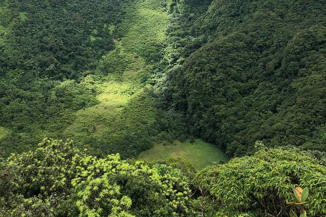 Hike St. Kitts: Highest peak Mount Liamuiga Volcano - Cruise timing and pickup details