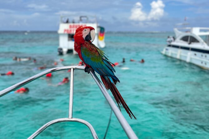 Hip Hop Party Boat with Snorkeling Punta Cana - What the $65 price really buys