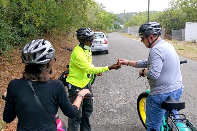 Historic City, Fort and Beach E-Bike Tour - Fort James, Fort Barrington, and the water’s edge