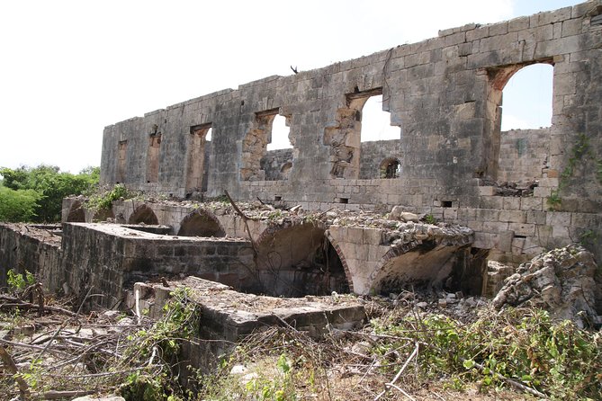 Historic Island Tour(Historic Barbuda tour also available)) - Dow’s Hill and a 15-minute introduction to Antigua