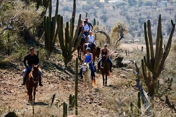 Horseback Ride Tour to Natural Pool in Arikok National Park - The Ride Back to the Ranch