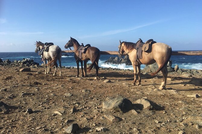 Horseback Ride Tour to Natural Pool in Arikok National Park - What the $155 Price Covers