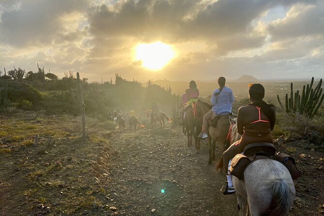 Horseback Ride Tour to Natural Pool in Arikok National Park - Morning or Afternoon, and Cruise-Port Timing