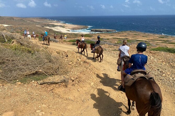 Horseback Ride Tour to Natural Pool in Arikok National Park - Who Will Enjoy This Ride Most