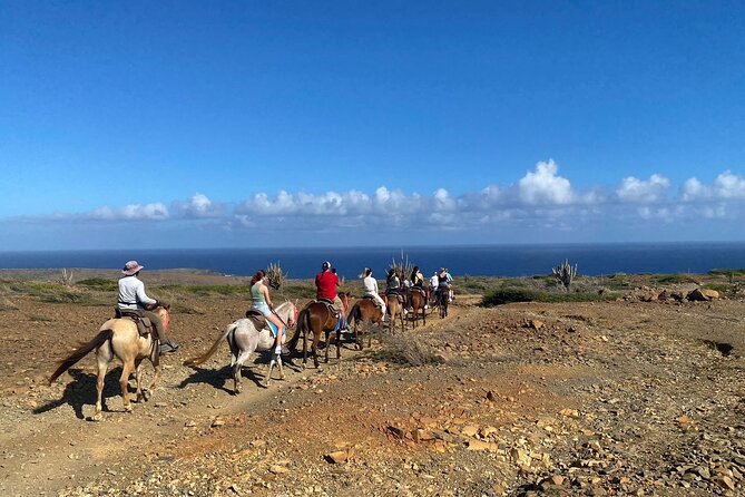 Horseback Ride Tour to Natural Pool in Arikok National Park - Should You Book It?
