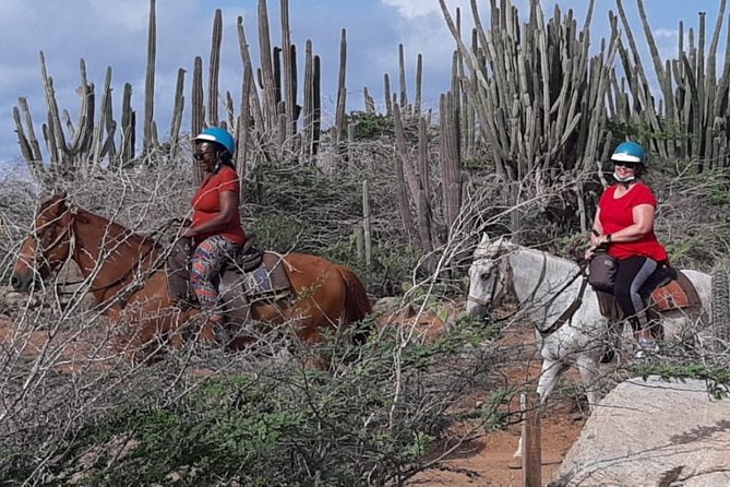 Horseback Riding 2 Hr SUNSET , Rock formation & North Coast Ride - Price, transfers, and what you actually receive