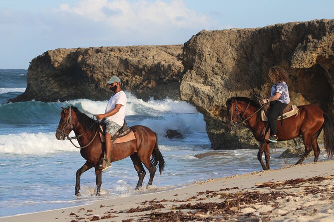 Horseback Riding and Natural Pool Adventure in Aruba - Key things to know before you book