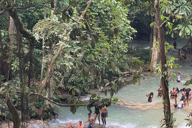 Horseback Riding and Swimming then Dunn's River Falls - Who should book this Jamaica excursion?