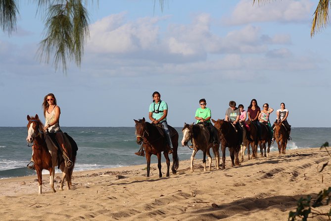 Horseback Riding through Secluded Beaches and Tropical Forests - Key points to know before you book