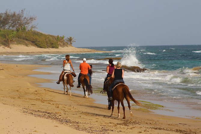 Horseback Riding through Secluded Beaches and Tropical Forests - From Tropical Trail Rides to the Caribbean coast