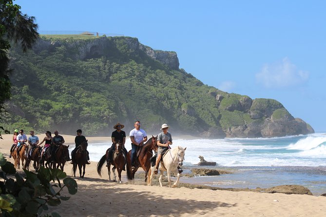Horseback Riding through Secluded Beaches and Tropical Forests - Price, timing, and what your $106.95 buys