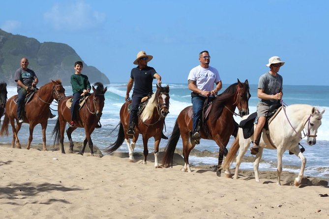 Horseback Riding through Secluded Beaches and Tropical Forests - Who will enjoy this ride most