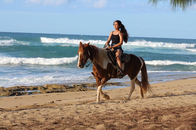 Horseback Riding through Secluded Beaches and Tropical Forests - What the forest and orchard trails add