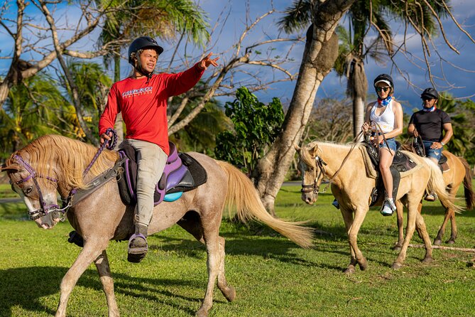 Horseback Riding Tour at Private Ranch - Arriving at Campo Rico