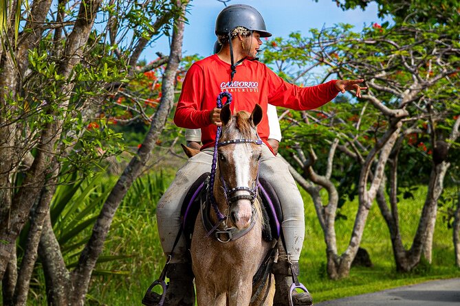Horseback Riding Tour at Private Ranch - The briefing with your guide