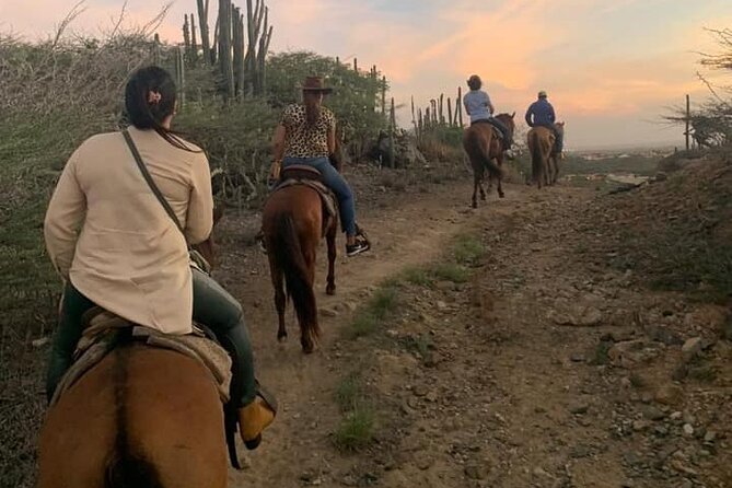 Horseback Riding Wariruri Beach Tour in Aruba - A realistic look at the pace and terrain